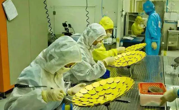国产精品无码一级毛片行星減（jiǎn）速機